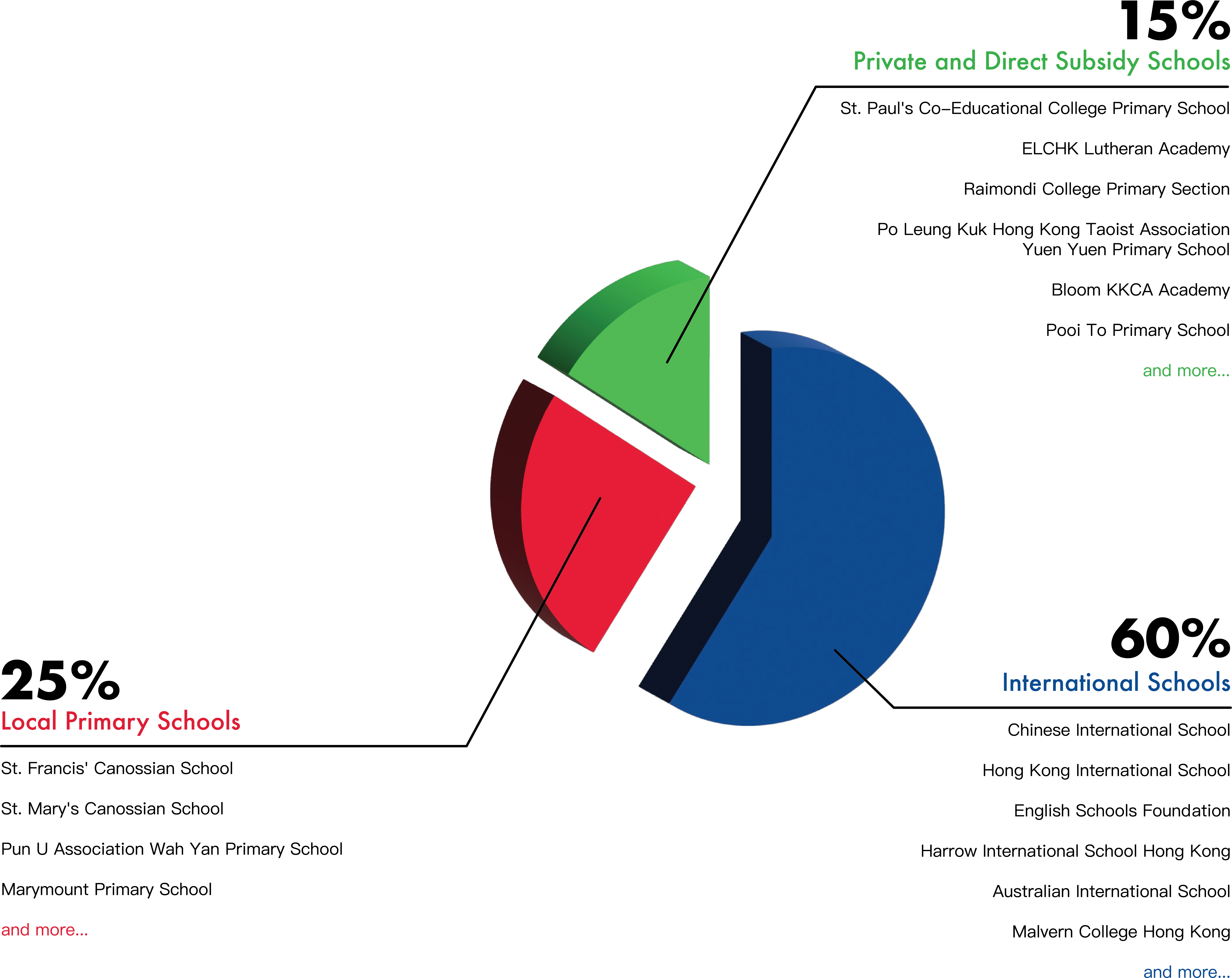 Primary School Enrollment Statistics 2024